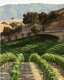 Hillside Vineyard