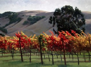 Sonoma in the Fall