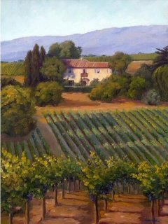 Wine Country Villa