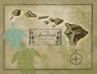 Turtle Map