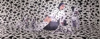 The Queen Her Dalmatians by Xu Zhe